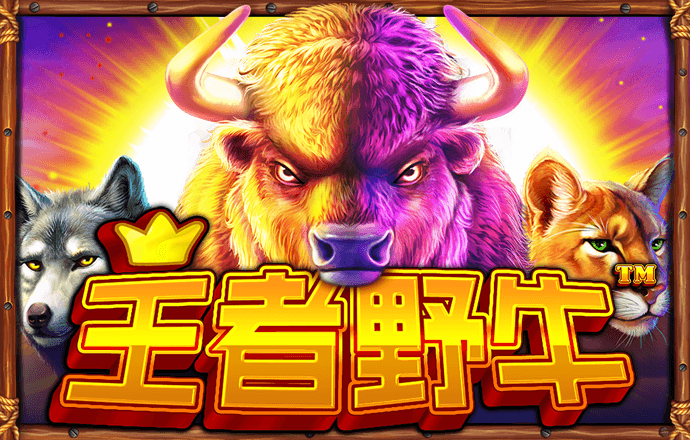 98体育app官方正版下载